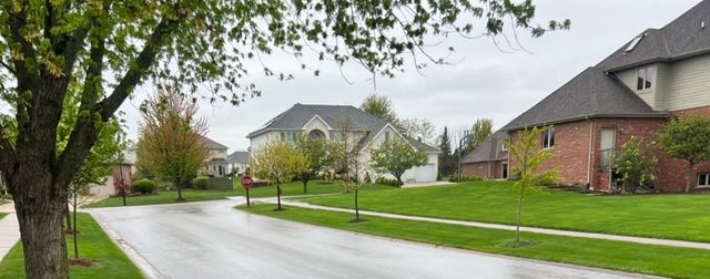 21372 Brittany Drive, Frankfort, IL 60423