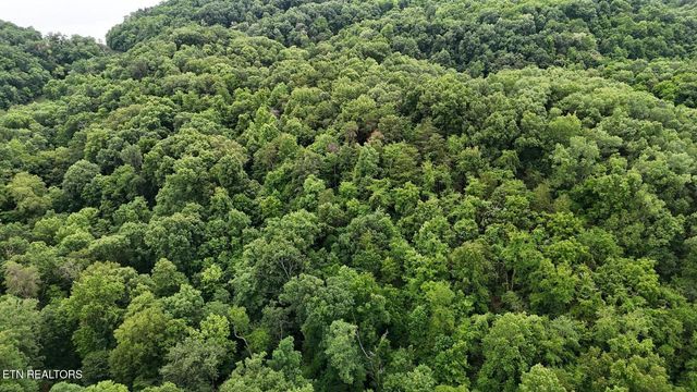0 Fortunato Drive, Baneberry, TN 37890
