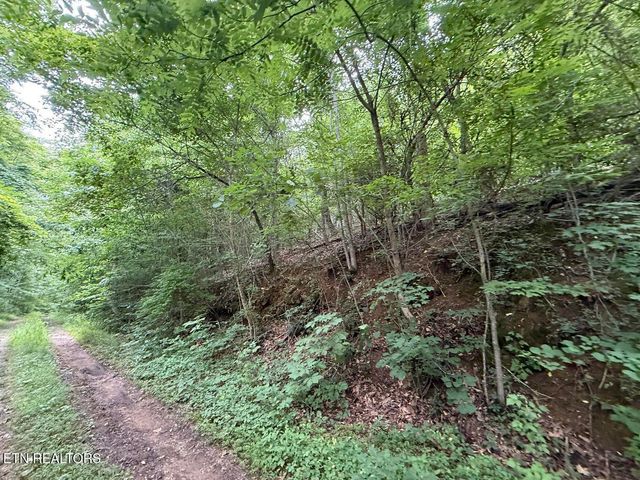 0 Fortunato Drive, Baneberry, TN 37890