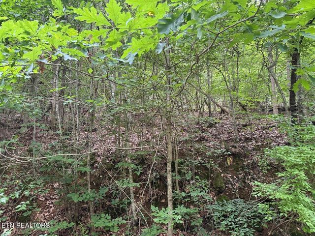 0 Fortunato Drive, Baneberry, TN 37890
