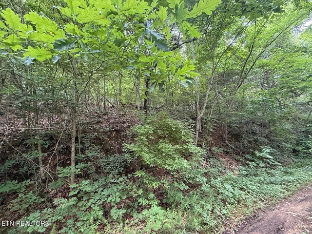 0 Fortunato Drive, Baneberry, TN 37890
