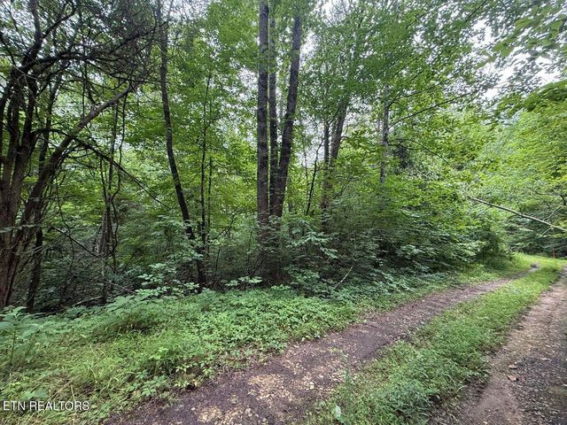 0 Fortunato Drive, Baneberry, TN 37890
