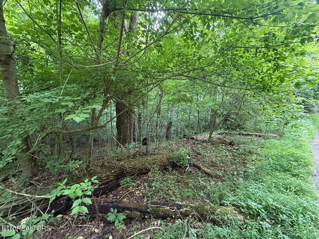 0 Fortunato Drive, Baneberry, TN 37890