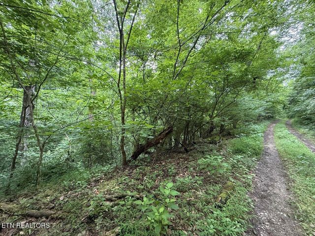 0 Fortunato Drive, Baneberry, TN 37890