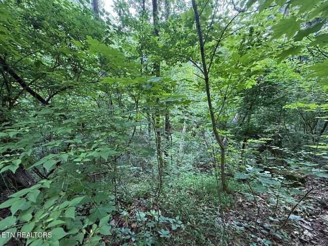 0 Fortunato Drive, Baneberry, TN 37890
