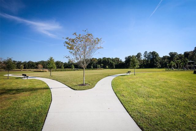 3519 BRIARWOOD GROVE DRIVE, Ocoee, FL 34761