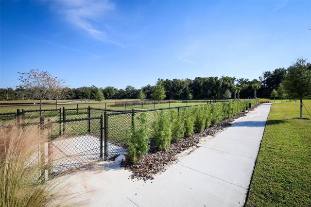 3519 BRIARWOOD GROVE DRIVE, Ocoee, FL 34761