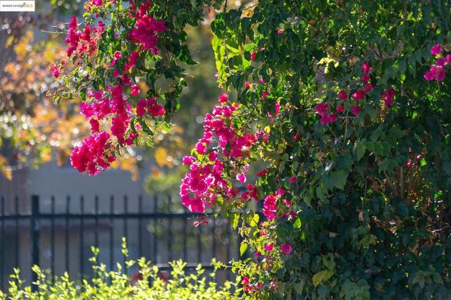 1311 Webster St E316, Alameda, CA 94501