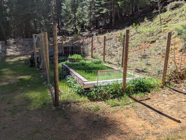 6105 Little Mountain Rd, Somerset, CA 95684