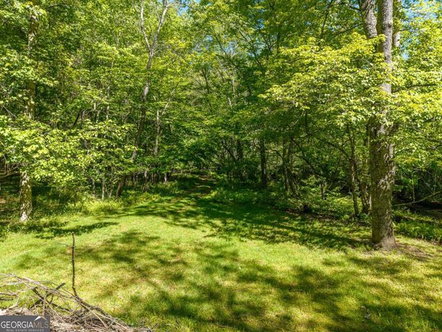 86 Tipton Court 5,6,7, Cherry Log, GA 30522
