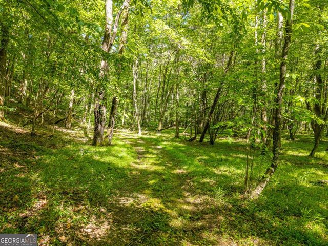 86 Tipton Court 5,6,7, Cherry Log, GA 30522