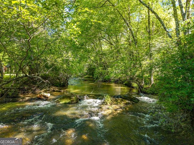 86 Tipton Court 5,6,7, Cherry Log, GA 30522