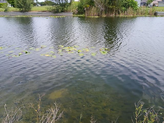 2915 DIPLOMAT PARKWAY W, Cape Coral, FL 33993