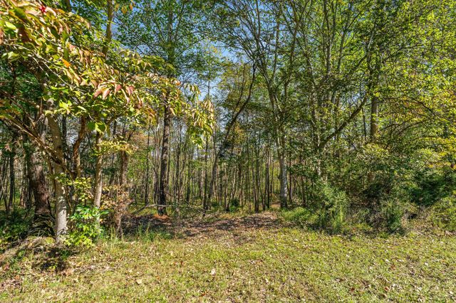 1257 Harris Hollow Rd, Charlotte, TN 37036