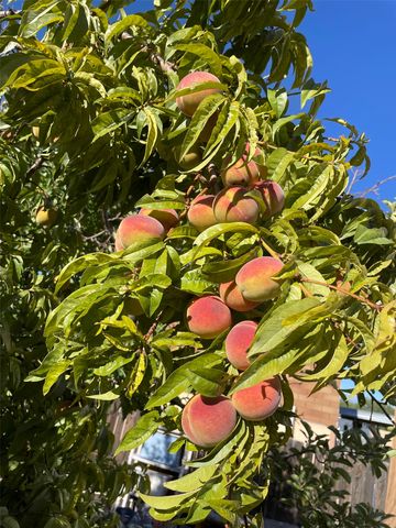 2655 Calle Primavera, Santa Fe, NM 87505