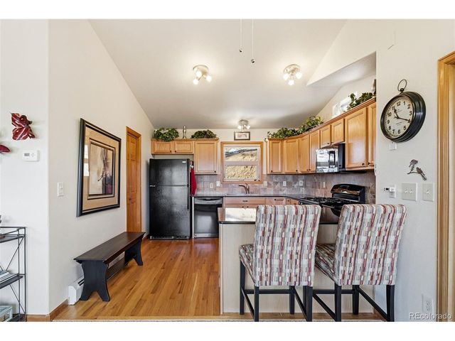 610 Gold Flake Ter, Bailey, CO 80421