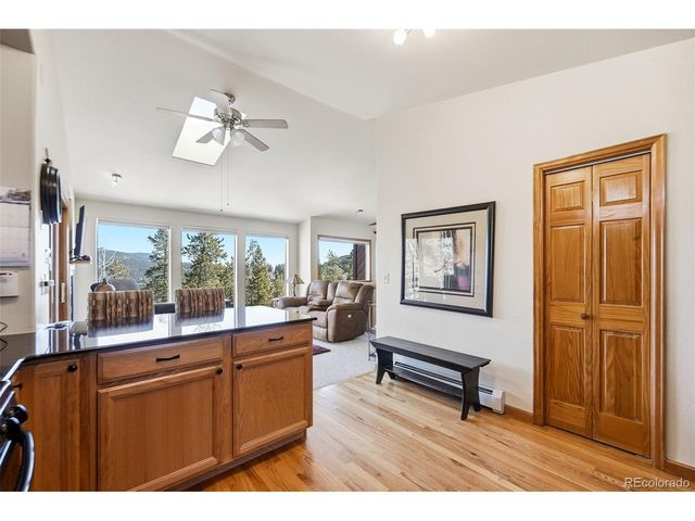 610 Gold Flake Ter, Bailey, CO 80421