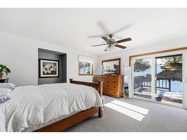 610 Gold Flake Ter, Bailey, CO 80421