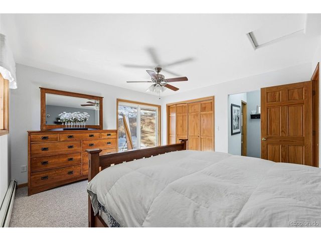 610 Gold Flake Ter, Bailey, CO 80421