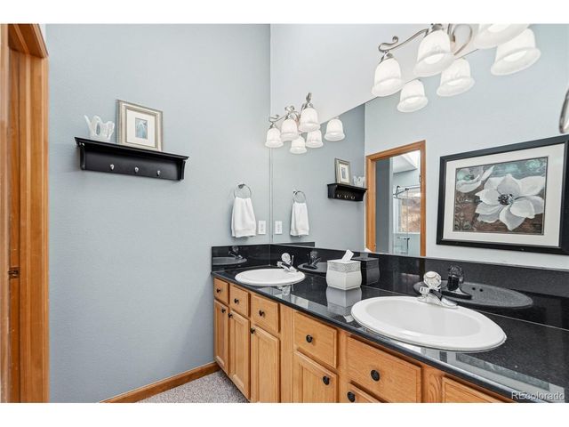 610 Gold Flake Ter, Bailey, CO 80421