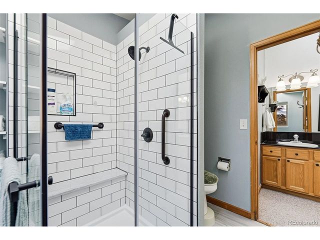 610 Gold Flake Ter, Bailey, CO 80421