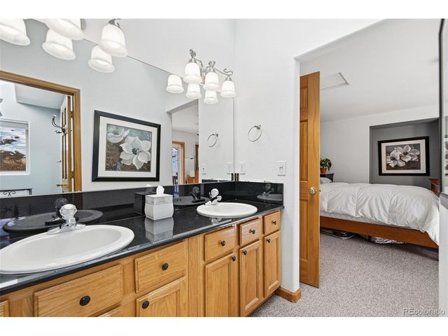 610 Gold Flake Ter, Bailey, CO 80421