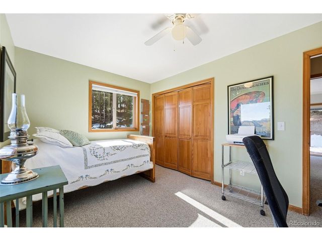 610 Gold Flake Ter, Bailey, CO 80421