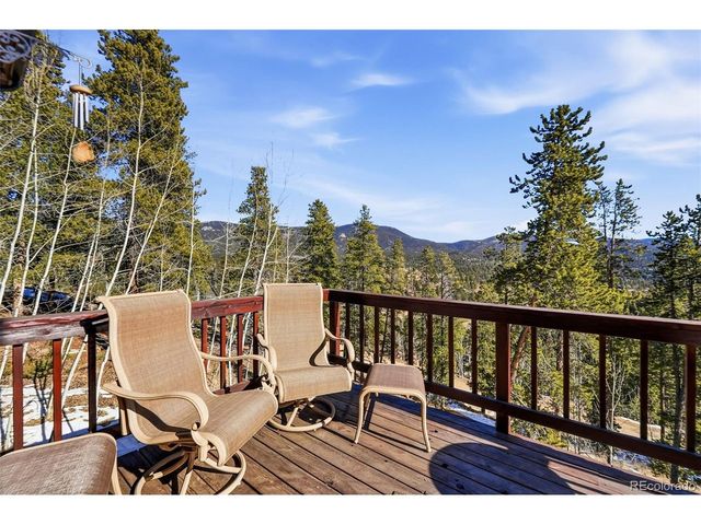 610 Gold Flake Ter, Bailey, CO 80421