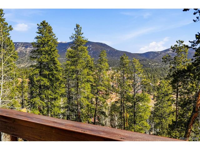 610 Gold Flake Ter, Bailey, CO 80421