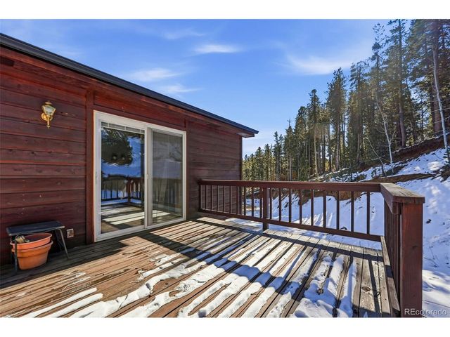 610 Gold Flake Ter, Bailey, CO 80421