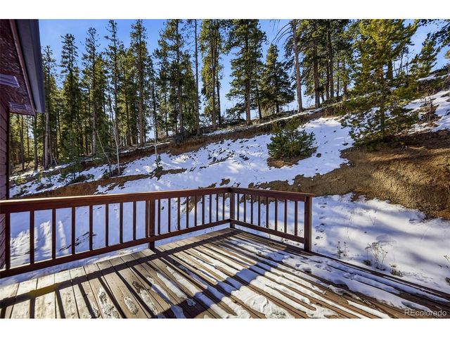 610 Gold Flake Ter, Bailey, CO 80421