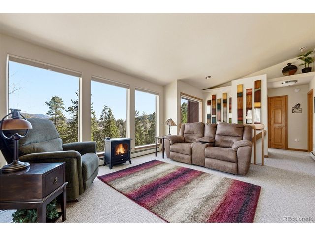 610 Gold Flake Ter, Bailey, CO 80421