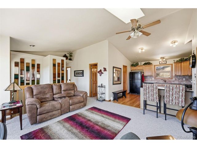 610 Gold Flake Ter, Bailey, CO 80421