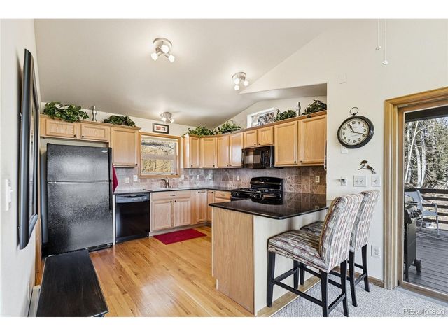 610 Gold Flake Ter, Bailey, CO 80421