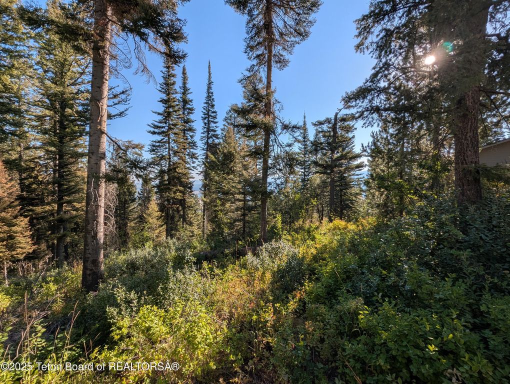 6765 W LUPINE Trail, Wilson, WY 83014 photo 10