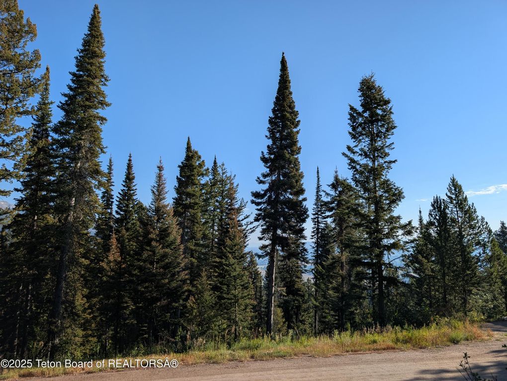 6765 W LUPINE Trail, Wilson, WY 83014 photo 3