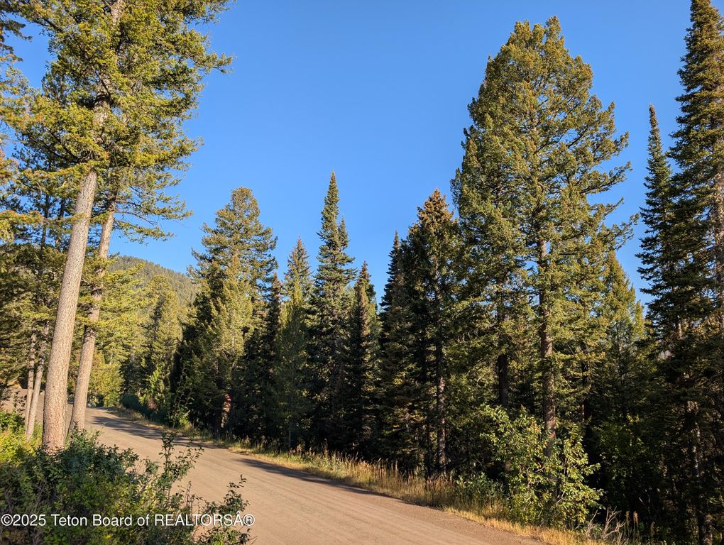 6765 W LUPINE Trail, Wilson, WY 83014 photo 6