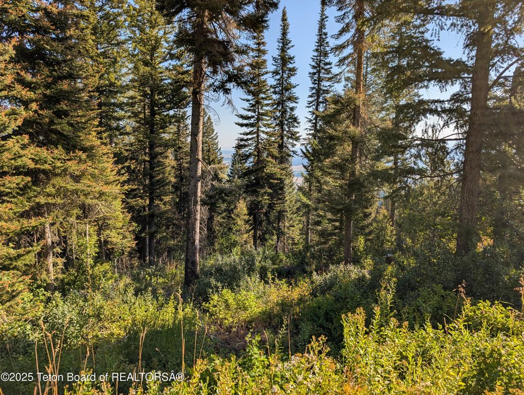 6765 W LUPINE Trail, Wilson, WY 83014 photo 8