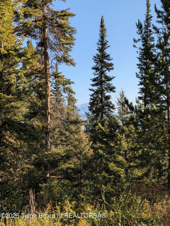 6765 W LUPINE Trail, Wilson, WY 83014 photo 9