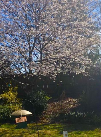 3634 Larson LN, Roanoke, VA 24018