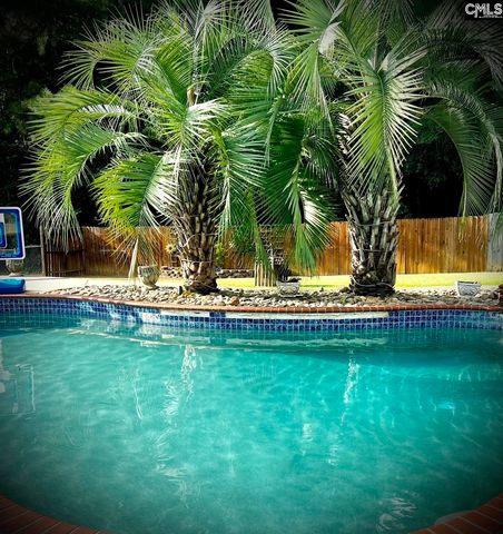 1504 Old Hilton, Chapin, SC 29036