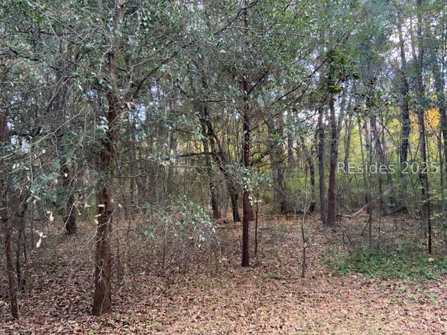 TBD Pearl Harbor Drive, St Helena Island, SC 29920