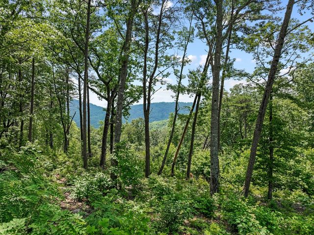Lot 53 High Summit Drive, Talking Rock, GA 30175