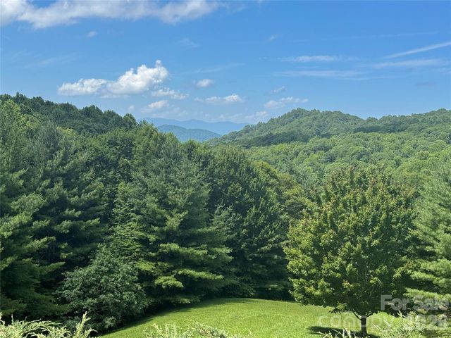 299 Basswood Road, Hot Springs, NC 28743