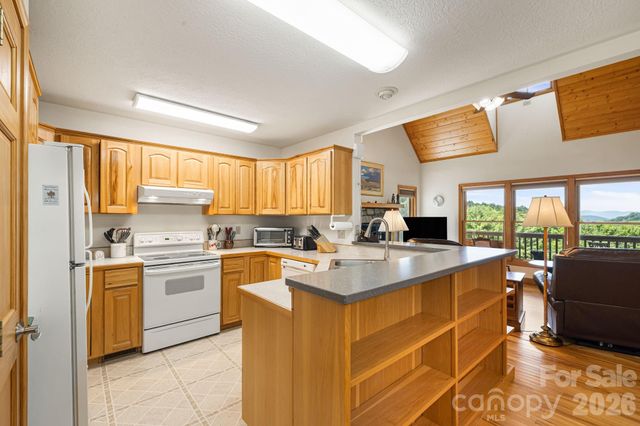 299 Basswood Road, Hot Springs, NC 28743