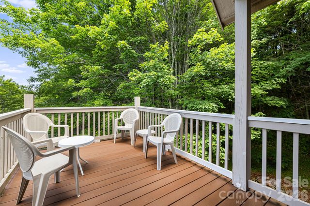 299 Basswood Road, Hot Springs, NC 28743