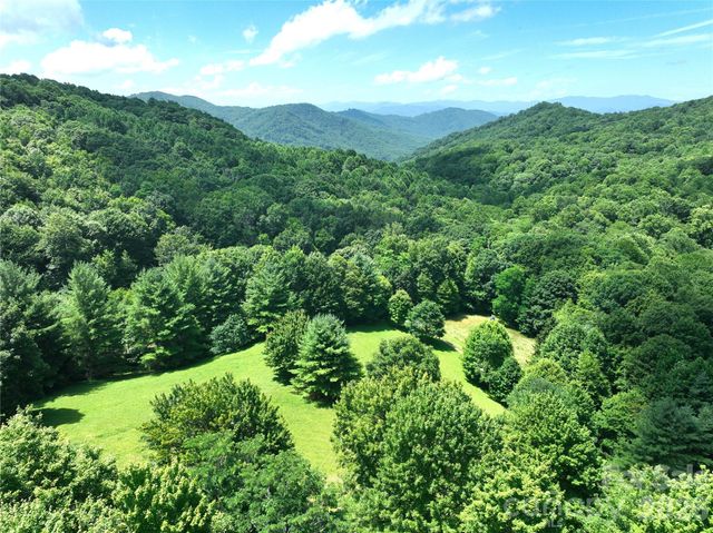 299 Basswood Road, Hot Springs, NC 28743