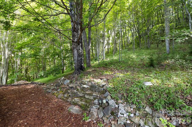 299 Basswood Road, Hot Springs, NC 28743