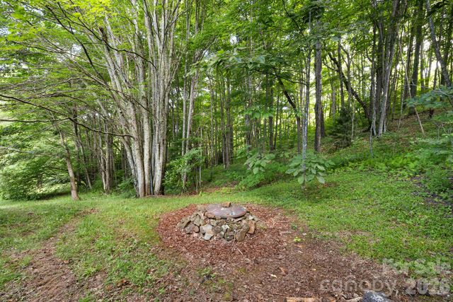 299 Basswood Road, Hot Springs, NC 28743