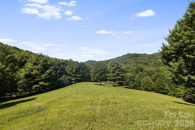 299 Basswood Road, Hot Springs, NC 28743